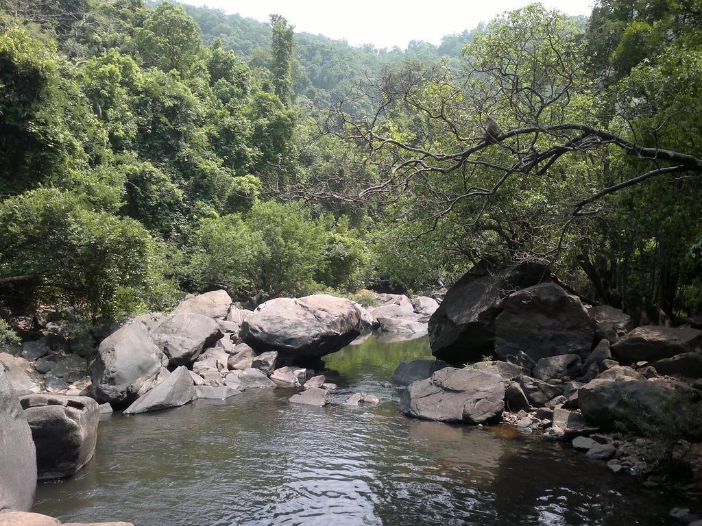 Willa Dudhsagar Plantation Cormonem Zewnętrze zdjęcie