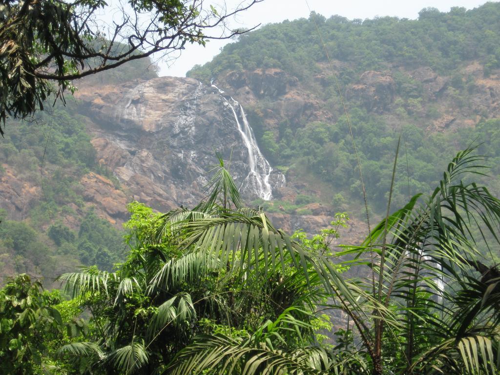 Willa Dudhsagar Plantation Cormonem Zewnętrze zdjęcie