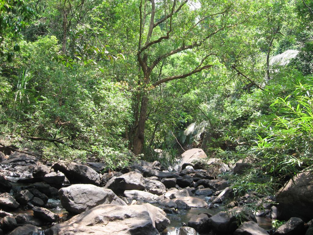 Willa Dudhsagar Plantation Cormonem Zewnętrze zdjęcie