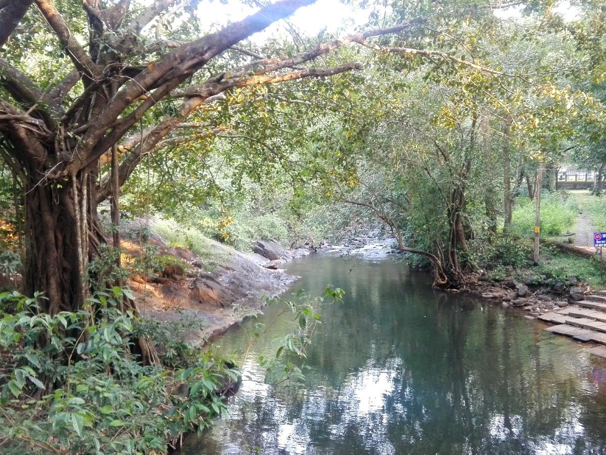 Willa Dudhsagar Plantation Cormonem Zewnętrze zdjęcie